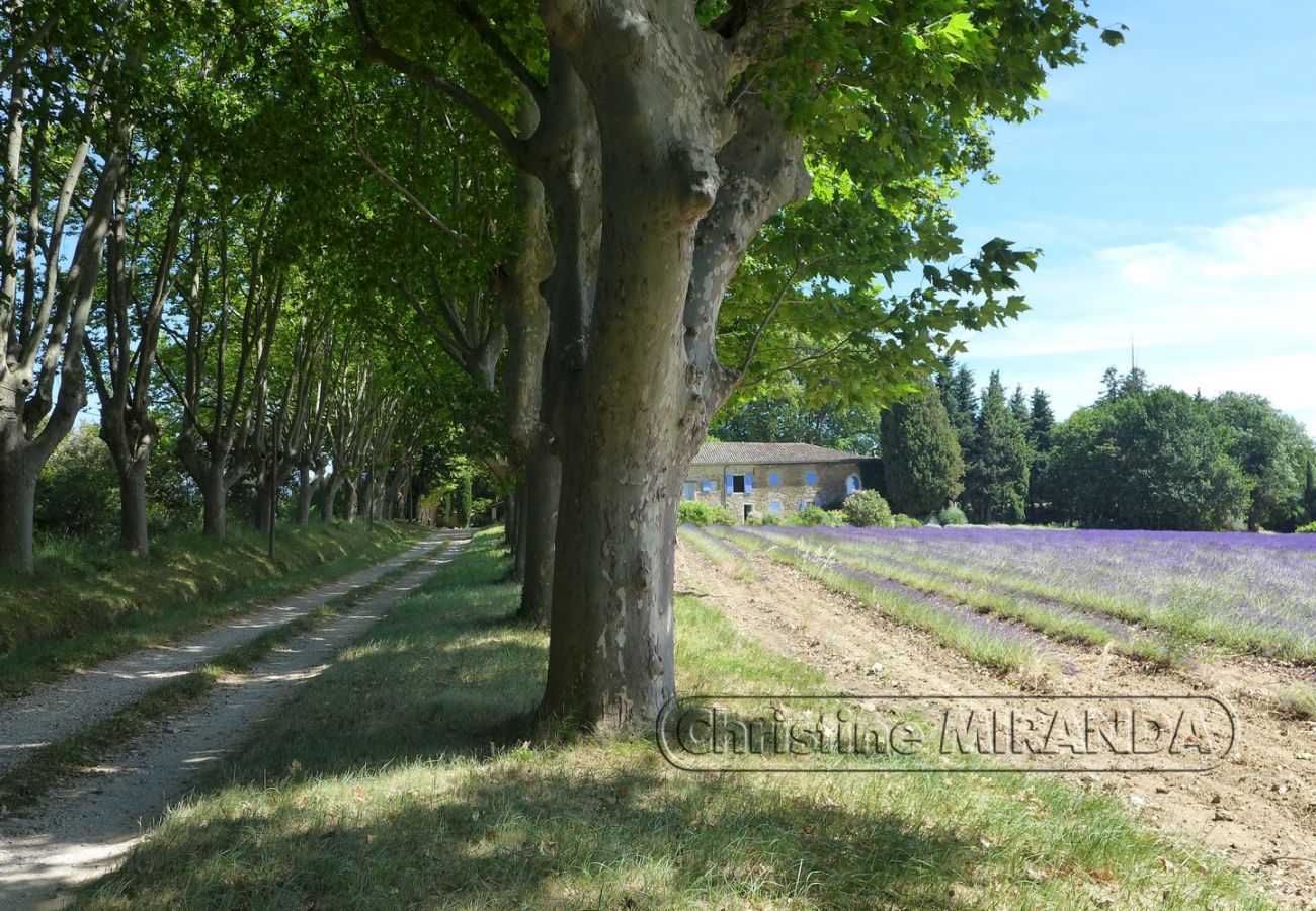 Landhaus in Valréas - La Chapelle, Ferienwohnung mit beheiztem Pool in der Provence