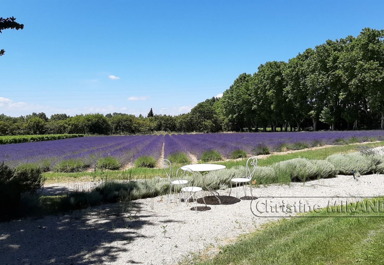 Landhaus in Valréas - La Chapelle, Ferienwohnung mit beheiztem Pool in der Provence