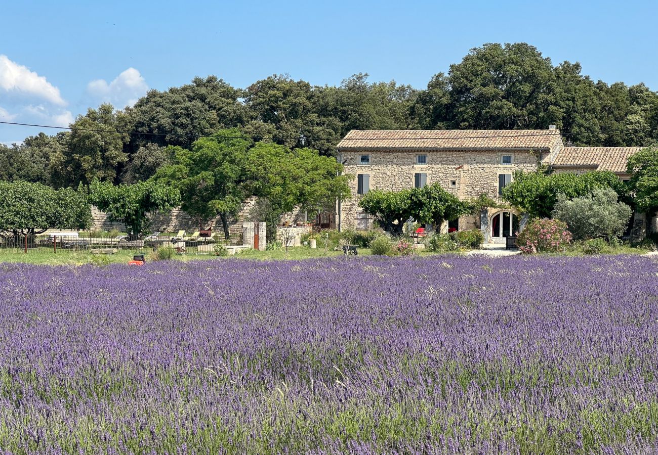 Maison à Clansayes - Mas des Lavandes 